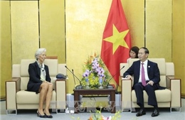  APEC 2017: Chủ tịch nước Trần Đại Quang tiếp Tổng Giám đốc IMF 